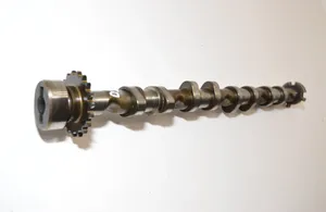 Volkswagen PASSAT B6 Camshaft 06D109101AL