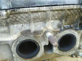 Ford Focus Culasse moteur 1S7G6090AX