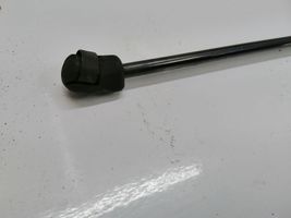 Audi A3 S3 A3 Sportback 8P Front bonnet/hood damper/strut 8P0823359B