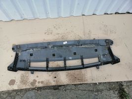 Audi Q5 SQ5 Osłona pod zderzak przedni / Absorber 8R0807233A