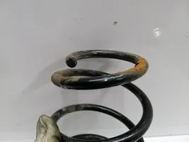 Volkswagen Golf VI Front coil spring 