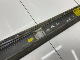 Audi A6 S6 C6 4F Beplankung Türleiste Zierleiste hinten 4F0853969K