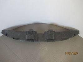 Volkswagen Tiguan Smorzatore/ammortizzatore d’urto per paraurti anteriore 5N0807248