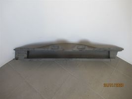 Volkswagen Tiguan Front bumper shock/impact absorber 5N0807248