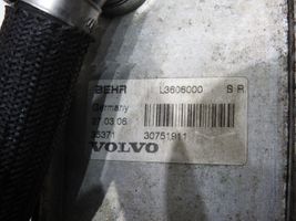 Ford S-MAX Dzinēja eļļas radiators 30751911