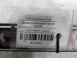 Citroen C4 Grand Picasso Katon muotolistan suoja 96590314XT