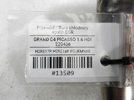 Citroen C4 Grand Picasso Przewód / Rura chłodnicy spalin EGR 
