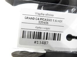 Citroen C4 Grand Picasso Moottorin asennusjohtosarja 9687672280