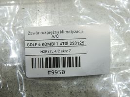 Volkswagen Golf VI Zawór rozprężny klimatyzacji A/C 1K0820679