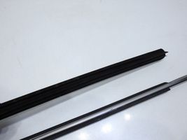 Toyota Avensis T250 Rivestimento della portiera anteriore (modanatura) 