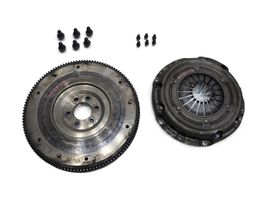 Skoda Fabia Mk2 (5J) Flywheel 