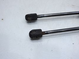 Peugeot 407 Tailgate strut 