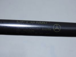 Mercedes-Benz ML W163 Puntone del portellone posteriore 