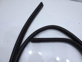 Ford Focus Rubber seal rear door 