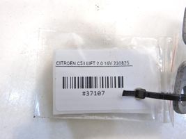 Citroen C5 Ogranicznik drzwi AVG11304