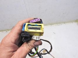 Citroen C5 Cableado de puerta delantera 9650503080