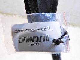 Renault Latitude (L70) Oil level dip stick 