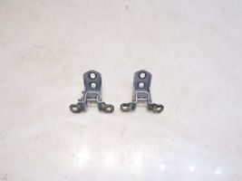 Renault Latitude (L70) Front door hinge set I120073