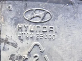 Hyundai Santa Fe Fuel tank 31100-2B000