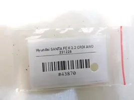 Hyundai Santa Fe Etuoven saranasarja A046057