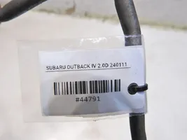 Subaru Outback Tuyau graissage turbo 