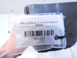 Opel Astra H Aktyvios anglies (degalų garų) filtras 13126691