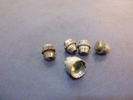 Ford Ecosport Nuts/bolts 