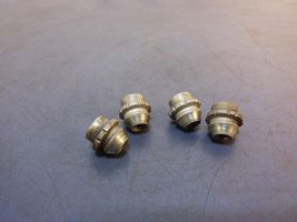 Ford Ecosport Nuts/bolts 