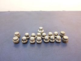 Ford Ecosport Nuts/bolts 