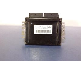 Chevrolet Lacetti Unité de commande, module ECU de moteur 96394699