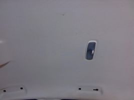 Ford Ecosport Rivestimento del tetto 