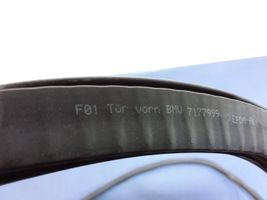 BMW 7 F01 F02 F03 F04 Gummidichtung Tür vorne 7177999