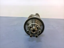 Volkswagen PASSAT B8 Crankshaft 04L