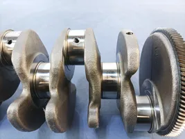 Volkswagen PASSAT B8 Crankshaft 04L