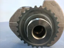 Volkswagen PASSAT B8 Crankshaft 04L