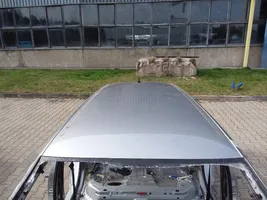 Volkswagen PASSAT B8 Dach 