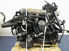 BMW 5 E34 Motor 256T1