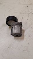 Volkswagen Tiguan Napinacz paska alternatora 038903315AJ