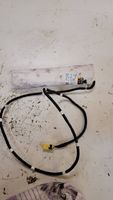 Nissan Leaf I (ZE0) Airbag sedile 0589P1000413