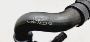 Volvo S60 Przewód / Wąż chłodnicy 31368209