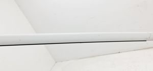 BMW 7 E65 E66 Roof trim bar molding cover 