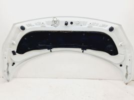 Renault Scenic II -  Grand scenic II Engine bonnet/hood 