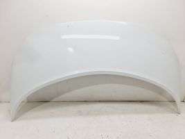 Renault Scenic II -  Grand scenic II Engine bonnet/hood 