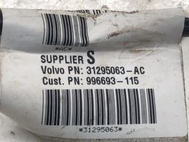 Volvo S40 Faisceau de câblage de porte arrière 31295063