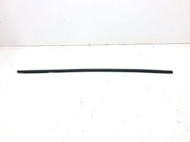 Renault Scenic III -  Grand scenic III Front door glass trim molding 