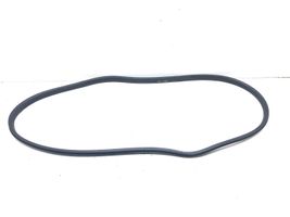 Renault Megane III Front door rubber seal 