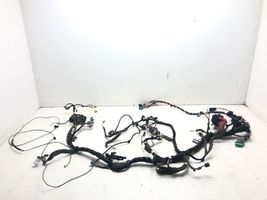 Renault Megane III Panel wiring 240184855S