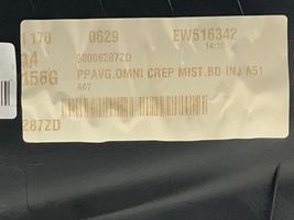 Citroen C3 Boczki / Poszycie drzwi przednich 98006287ZD