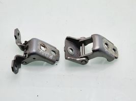 Renault Megane III Front door hinge set 