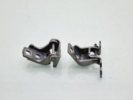 Renault Megane III Rear door hinge set 